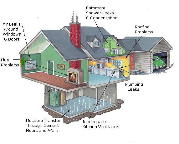 Where mold comes from